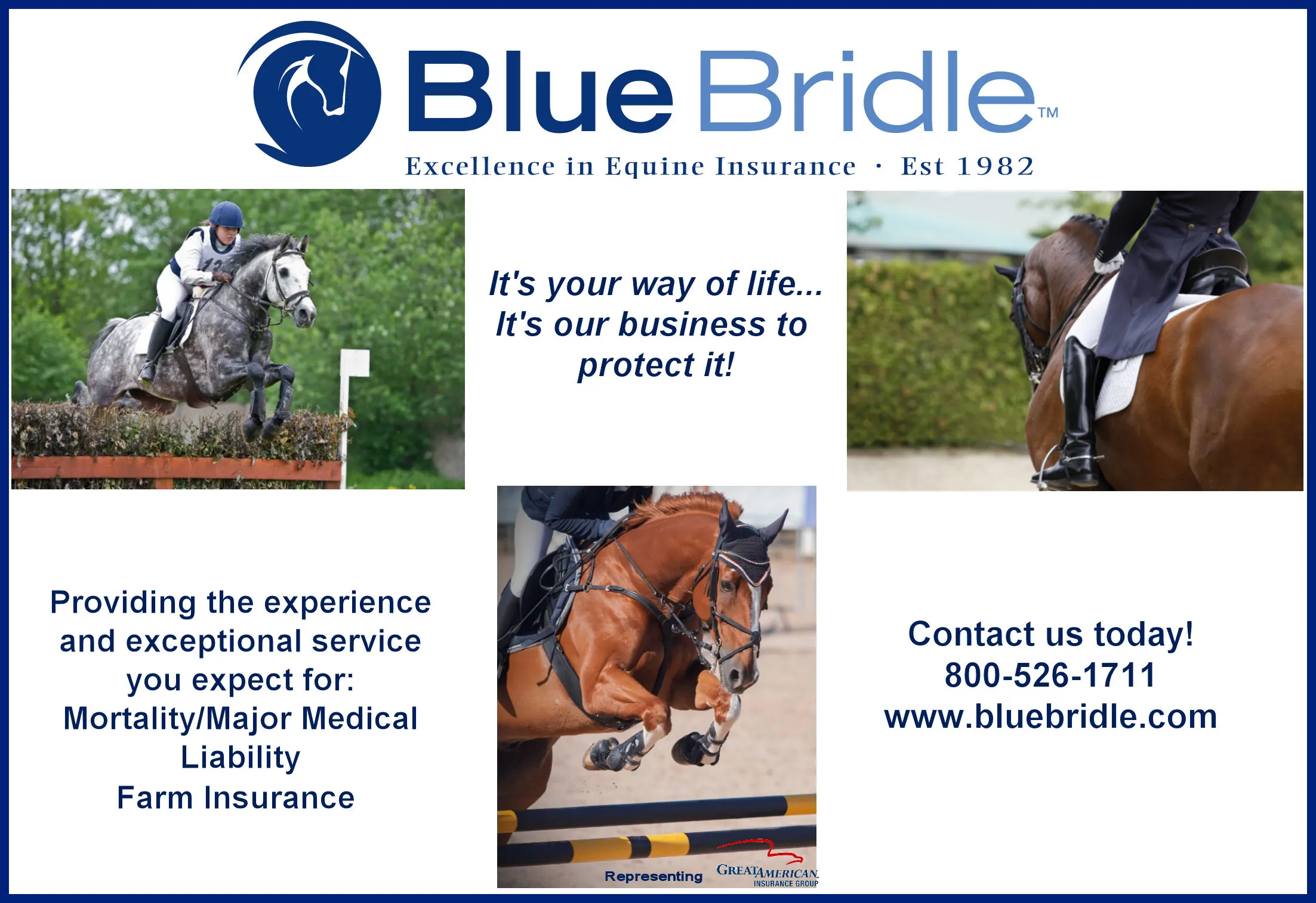 Blue Bridle Insurance Agency