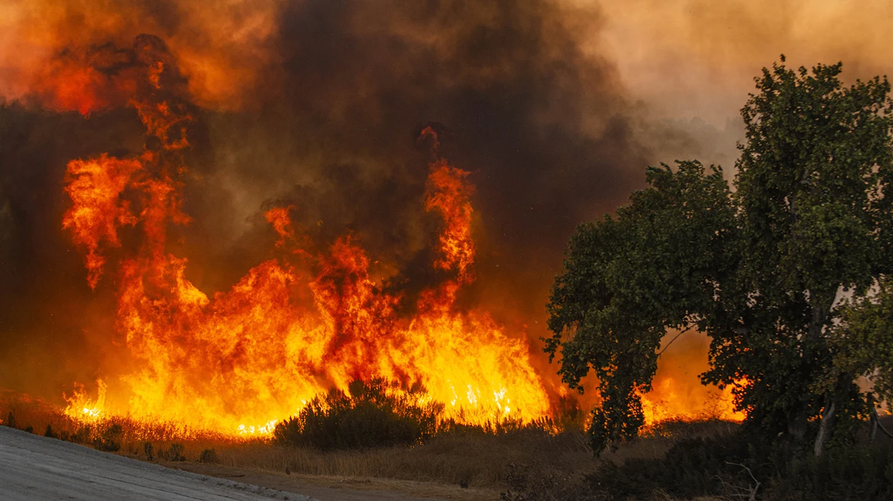 Towers of flame burning at Sepulveda Basin on Friday, Oct. 25, 2019 in Los Angeles, Calif. The fire started out earlier in the afternoon and has caused to burn 50 acres of land.(Photo by Kevin Lendio)