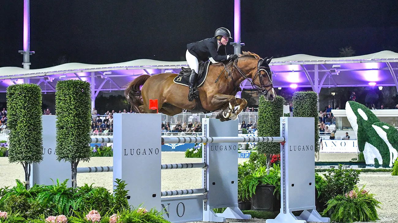 CallieSchott_Garant_ SLIDER