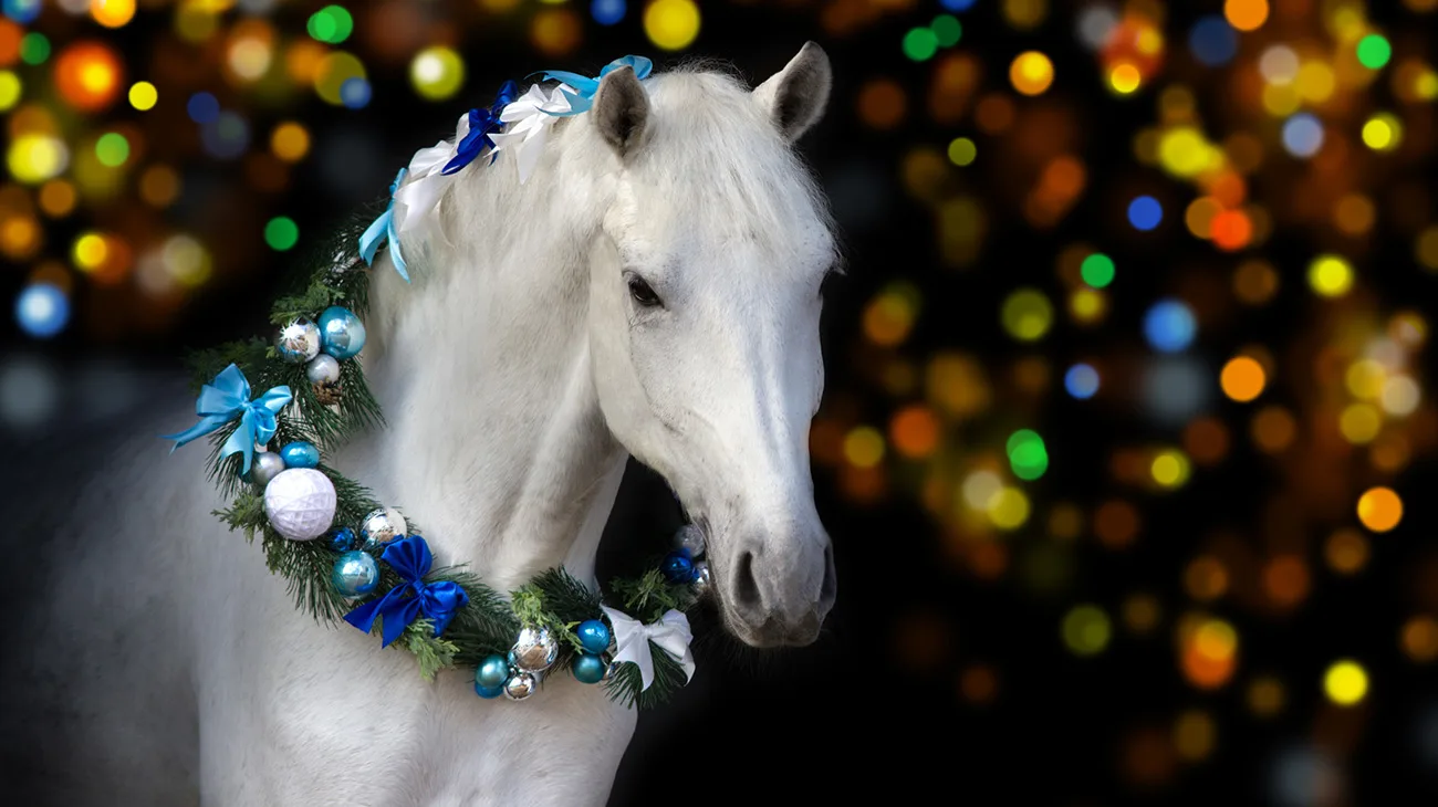 PBEC jump WEF 2023 - 19