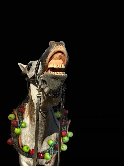 Coraline_Sharon Hirsch