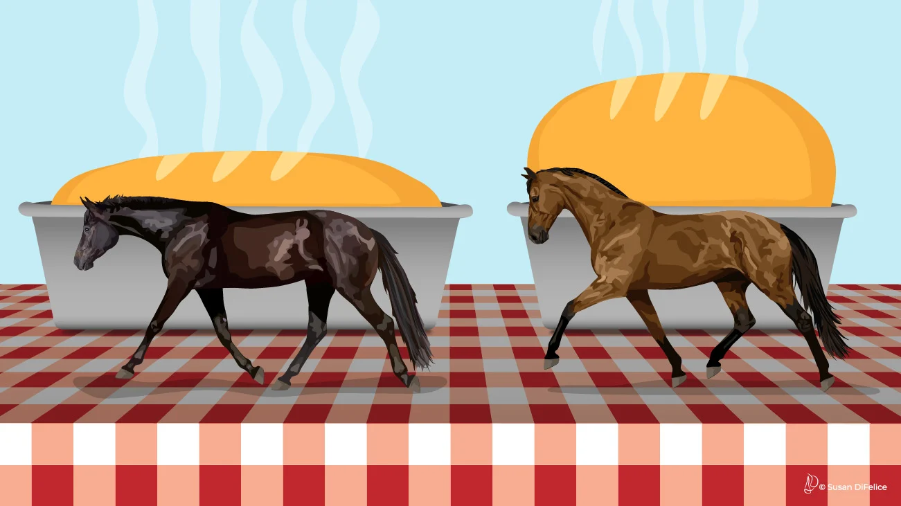 COTHbannerBreadRisingWebSize-1