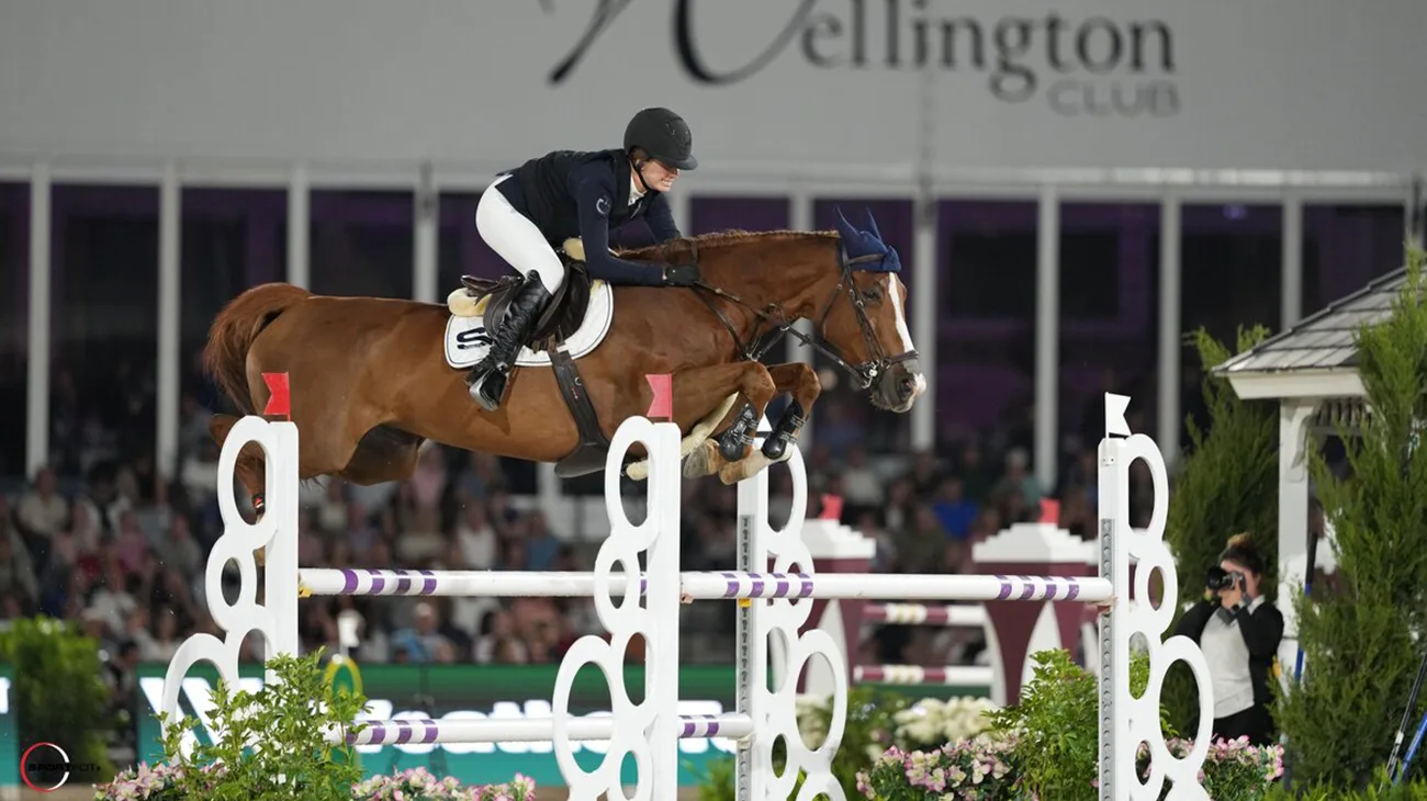 grand prix; 6575, PORTOBELLA VAN DE FRUITKORF, EMILIE CONTER; Sportfot