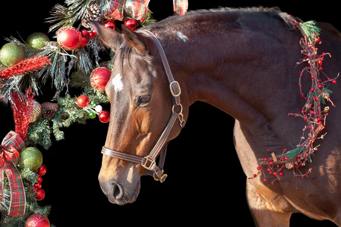 For Your Love_Kerri Ginn