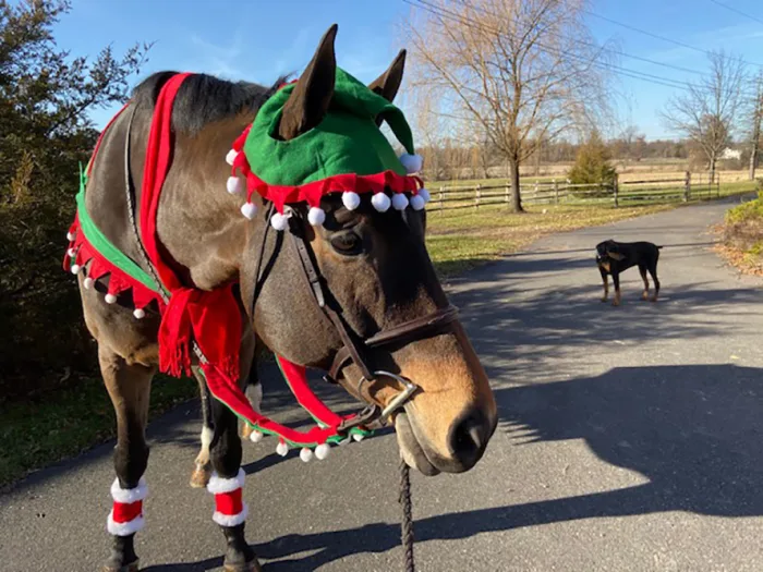 Gulfstream_Susan Garvey