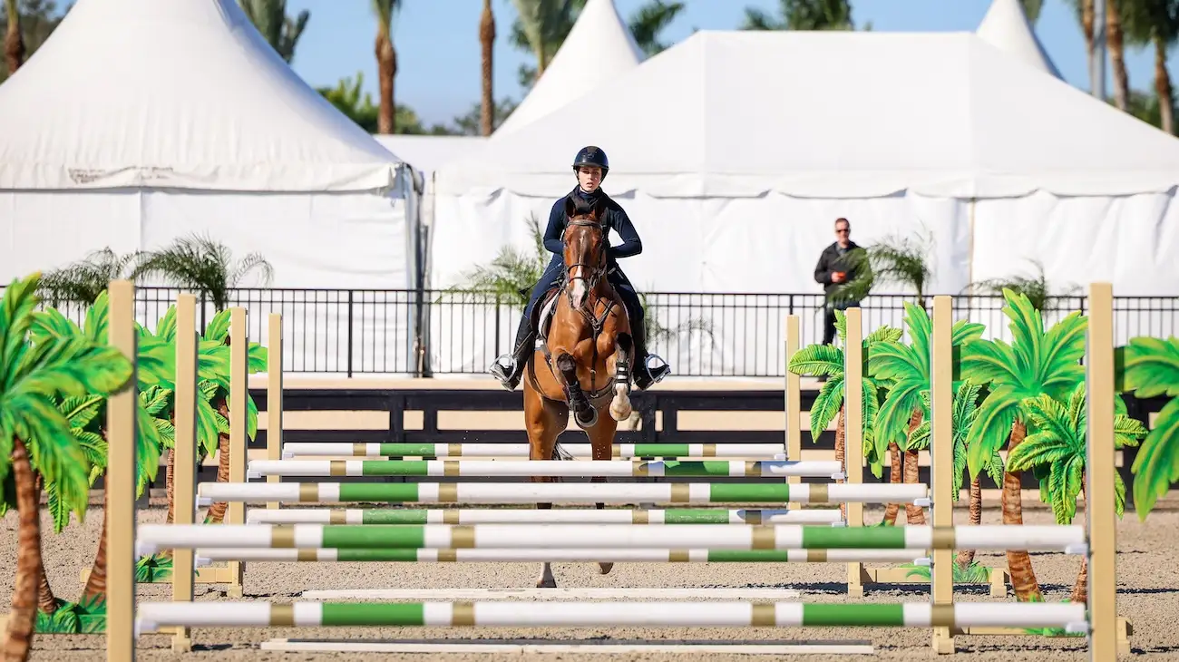 horsemaster-101_slider