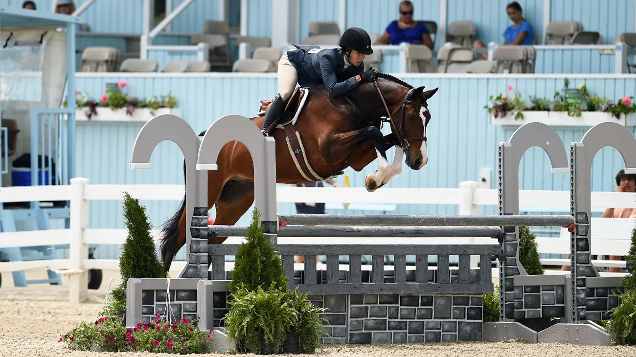 IreneNeuwirth_GuessWho_KimberlyLoushin