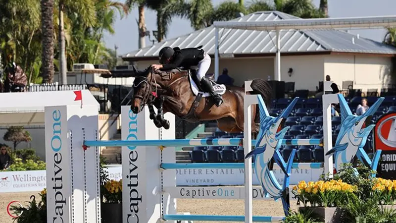 Jad Dana After Eight