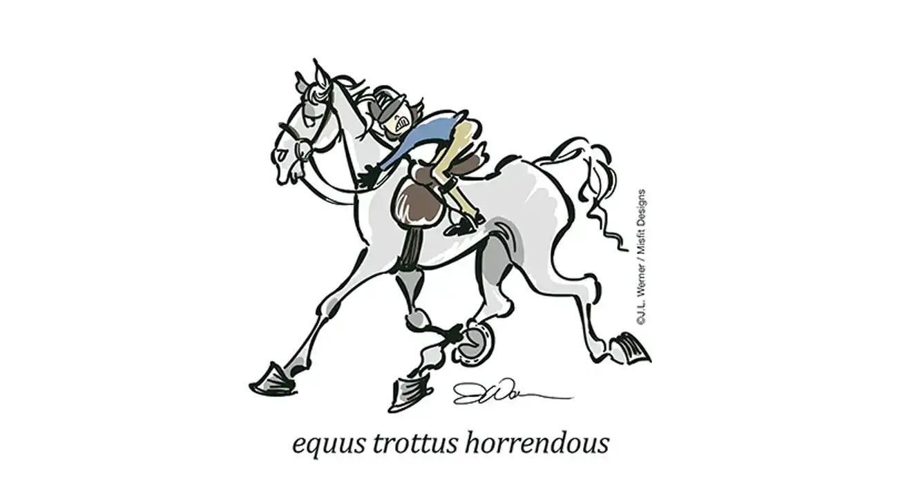 Legends of Summer slider