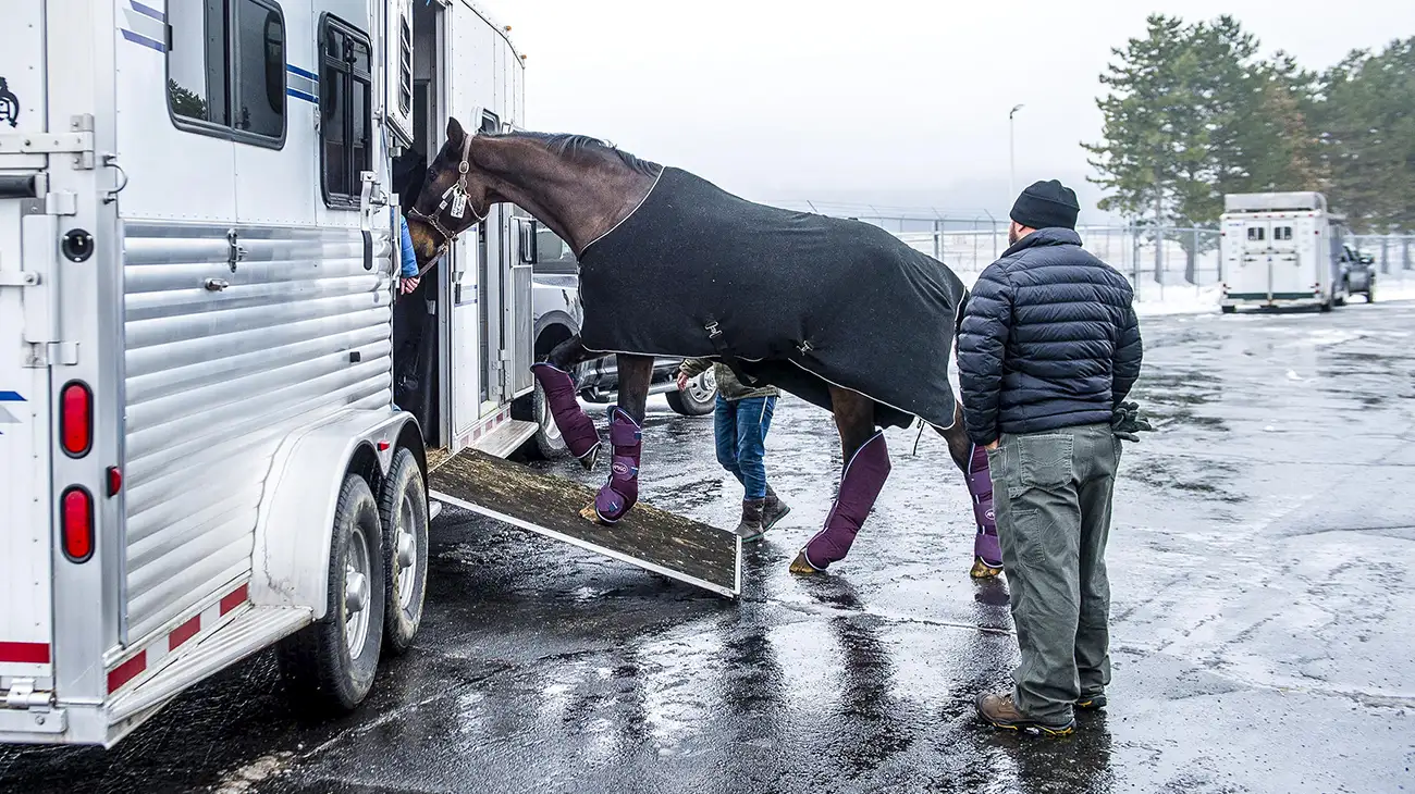 loading-horse-web-AKD-for-Arnd