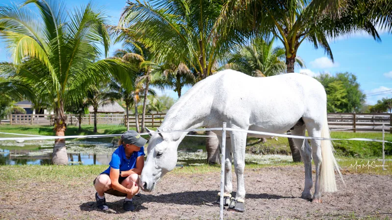 LocksleySliderTemplate