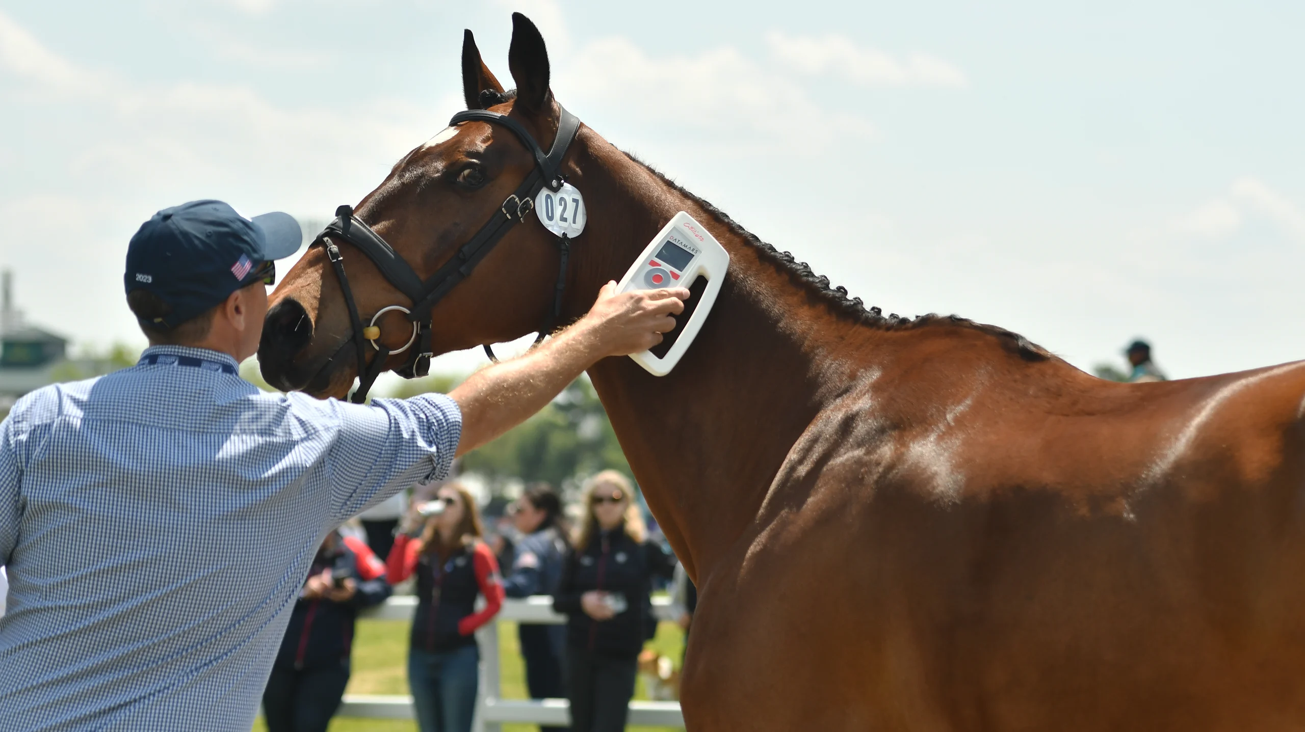 Microchip slider WCF_5775