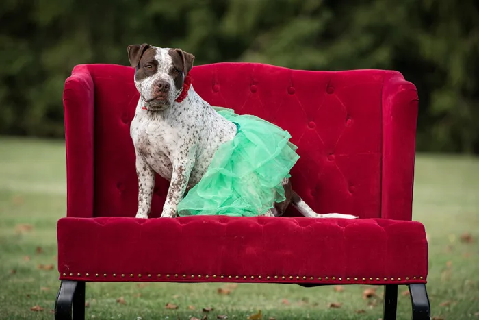 Pebbles_Caroline Moran