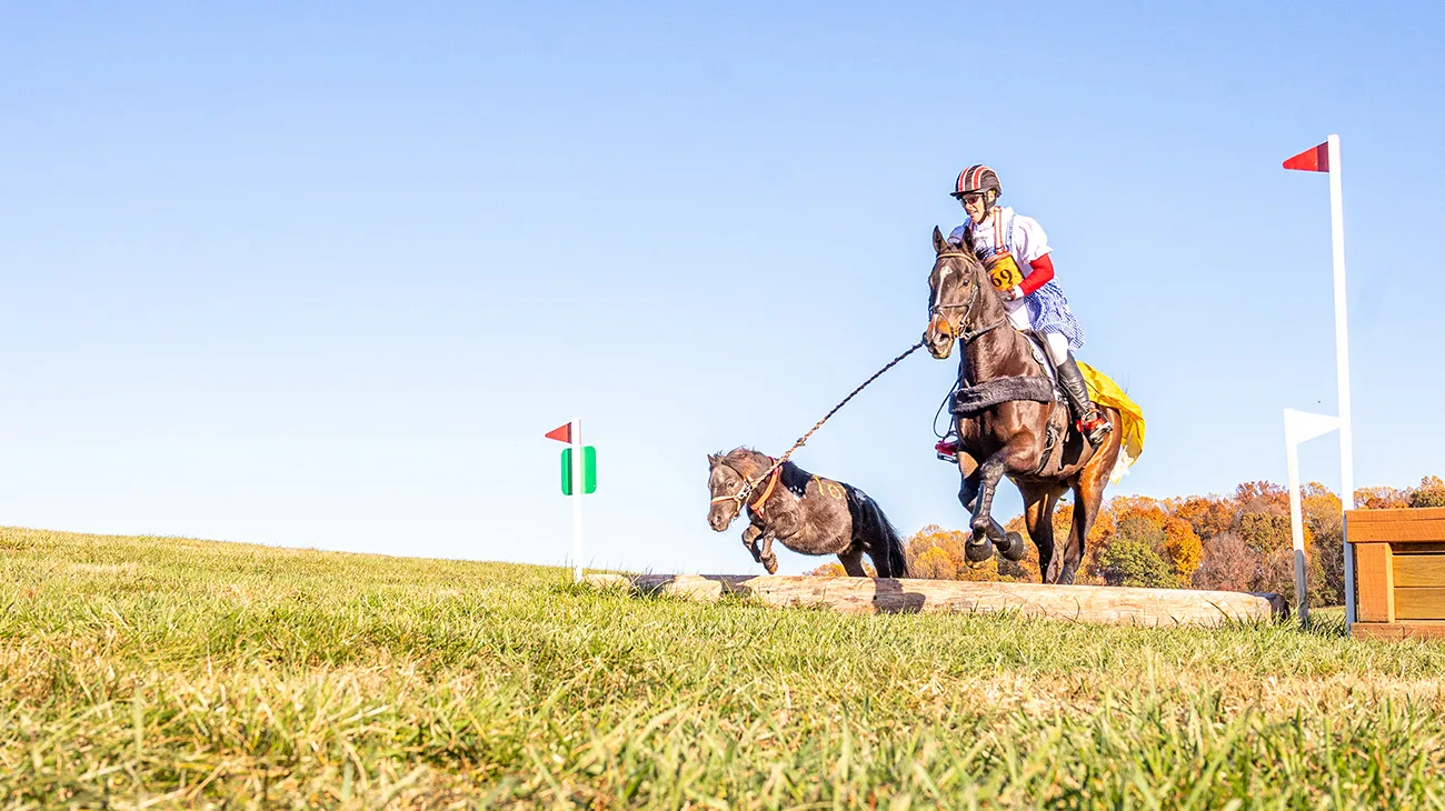 PFS-24-1027-CMzf-036