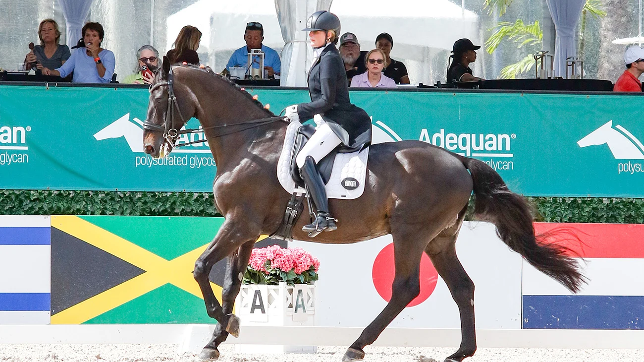 Romney Donatello slider