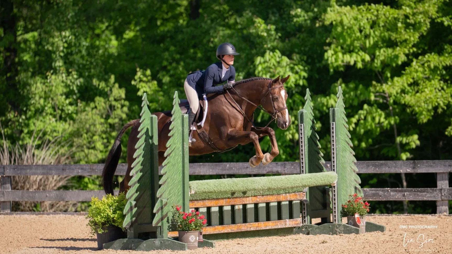 SLIDER-Blueberry-Lia-Sim-Photography