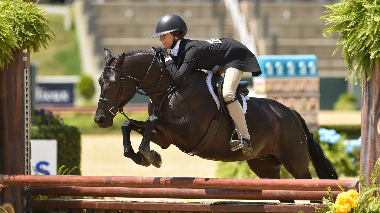 SLIDER Qualen's Mystical-7669