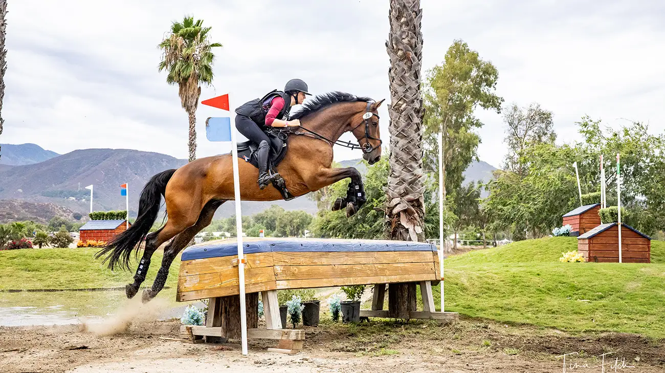 slider_Marilyn Schackner Georgie Z-9837