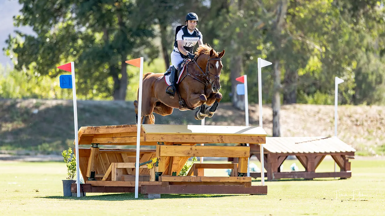 slider_tommygreengard_AEC2925TF-0860