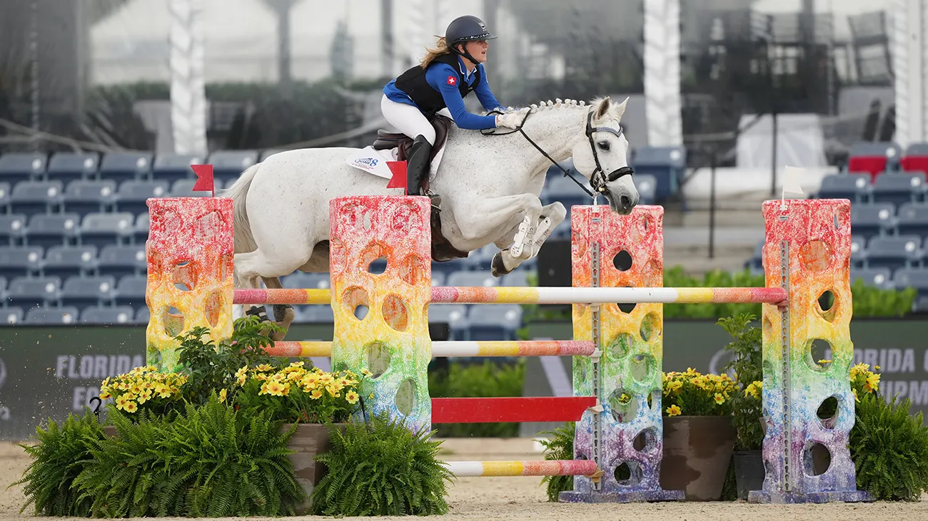 medium junior jumper 1m30; 2677, WILDE HILDE, HALEY HONEGGER; Sportfot