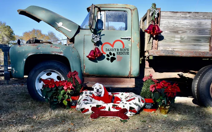 Whopper_Danny & Rons